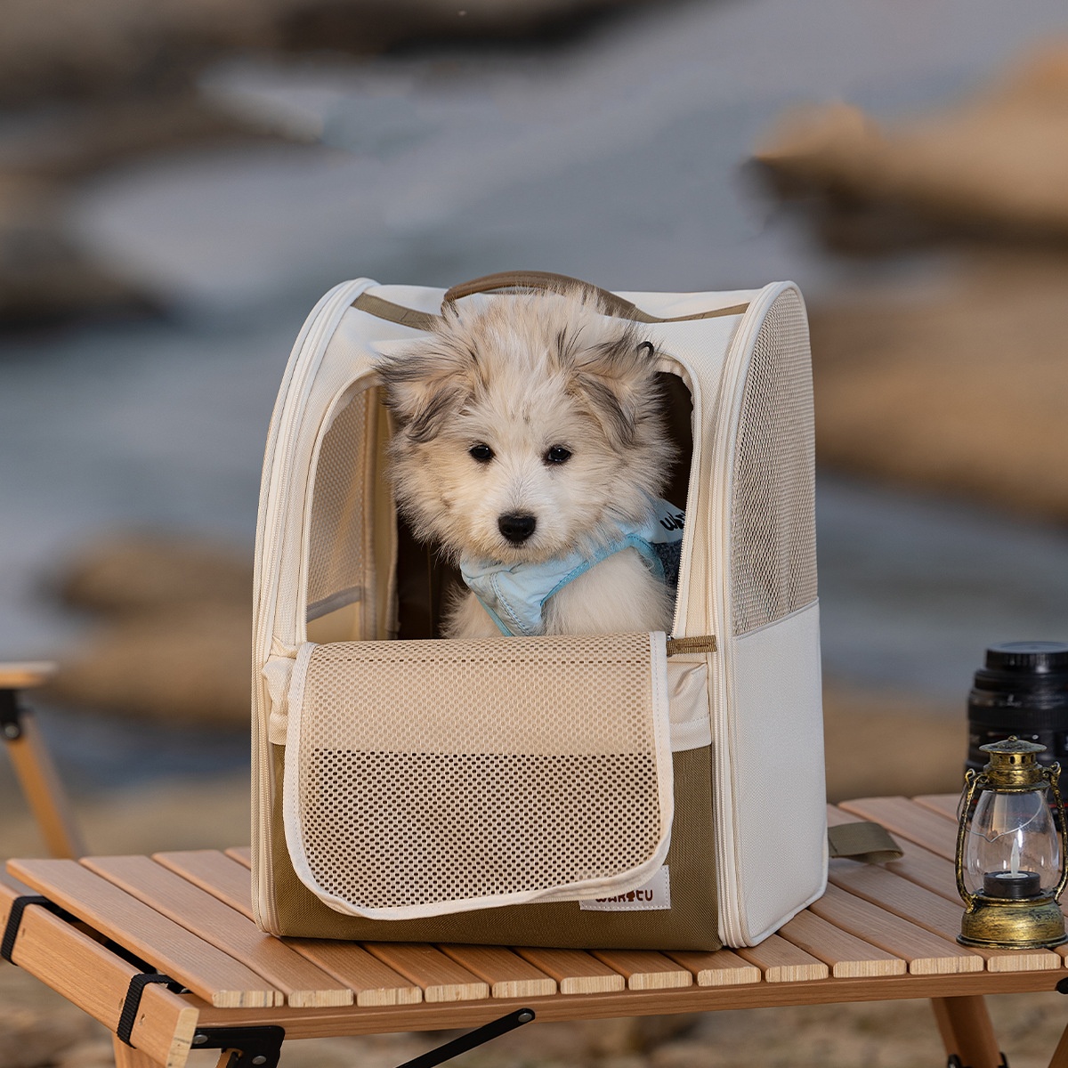 Pet Carrier Backpack Breathabl - Foldable Backpack Small 评论和价格
